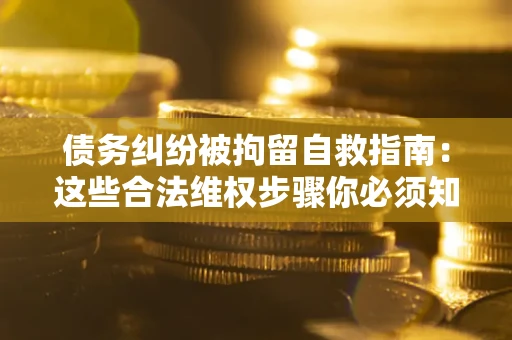 济南债务纠纷被拘留自救指南：这些合法维权步骤你必须知道！