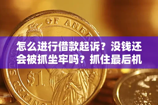 济南怎么进行借款起诉？没钱还会被抓坐牢吗？抓住最后机会！