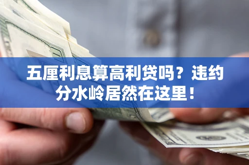 济南五厘利息算高利贷吗？违约分水岭居然在这里！