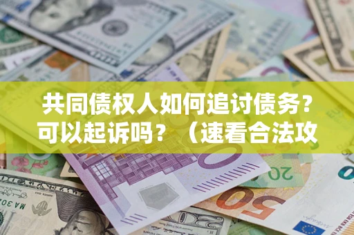济南共同债权人如何追讨债务？可以起诉吗？（速看合法攻略）